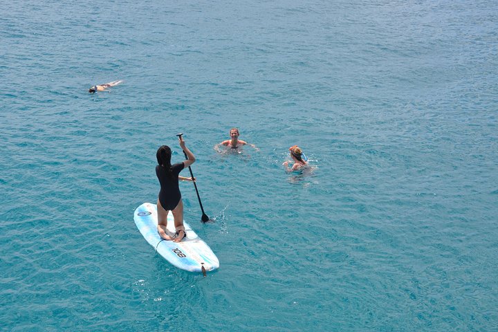 Odyssee 3: O passeio de barco com fundo de vidro em Fuerteventura