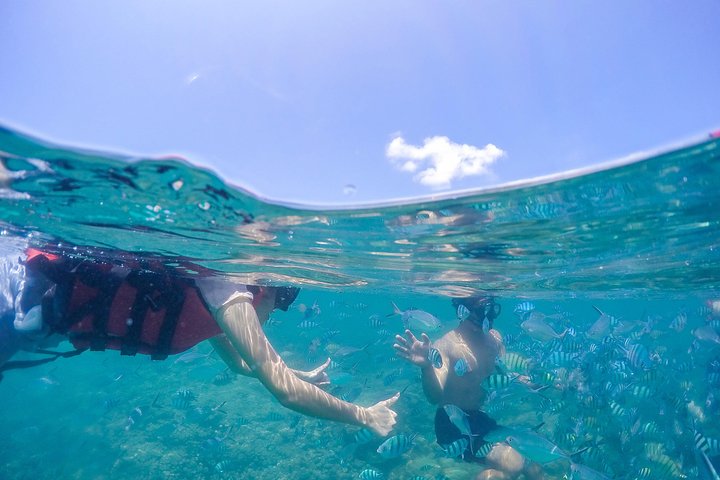 Pig Island & Koh Tan Tour per speedboot (snorkelen en kajakken)