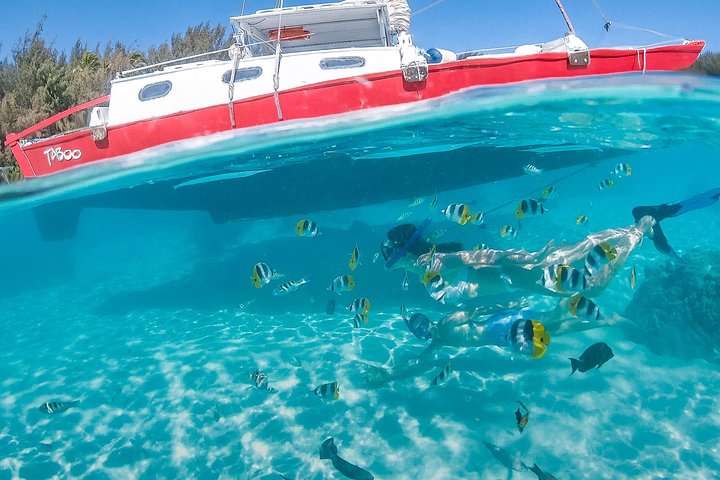 Half Day Tour : Moorea Snorkeling & Sailing on a Catamaran named Taboo