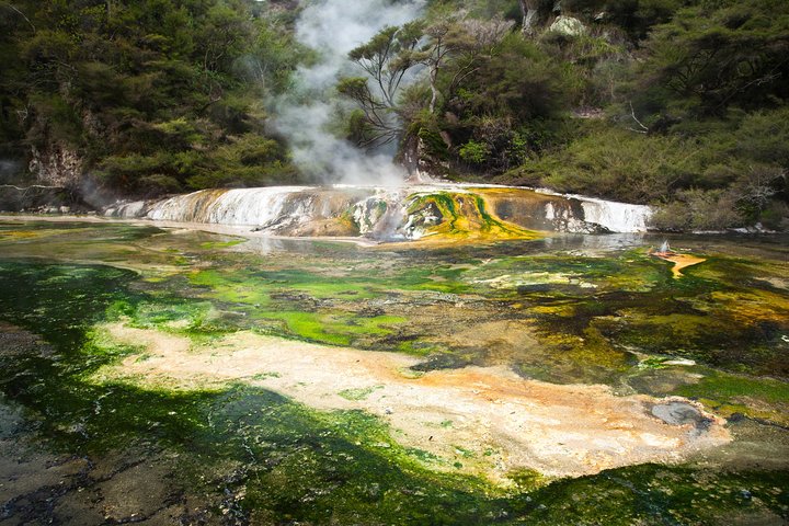 Rotorua baserad liten grupp morgontur Waimangu och Wai O Tapu
