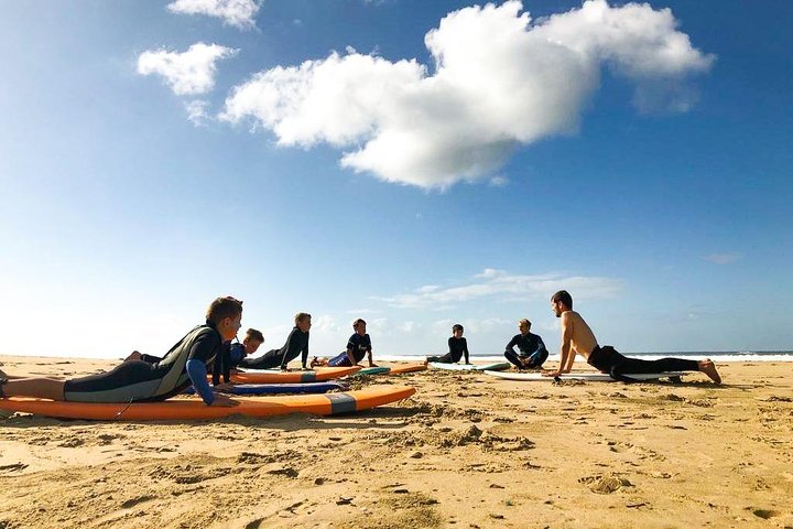 Clases de surf de 1 hora y 15 minutos en Victoria Bay y Wilderness