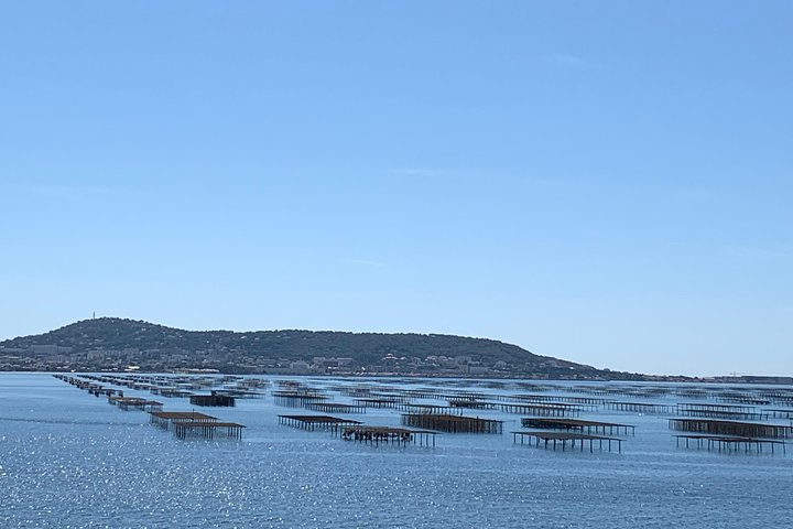 Tour a Sete, una granja de ostras y cata de vinos