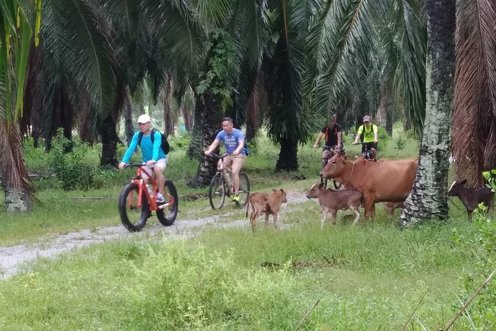 Halbtägige Penang Landschaft Radtour