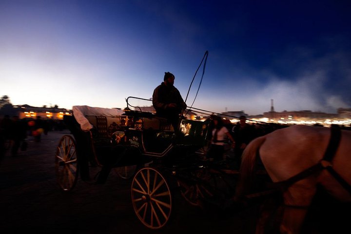 Excursão de um dia em Marrakech a partir de Agadir: Medina & Souks Tour