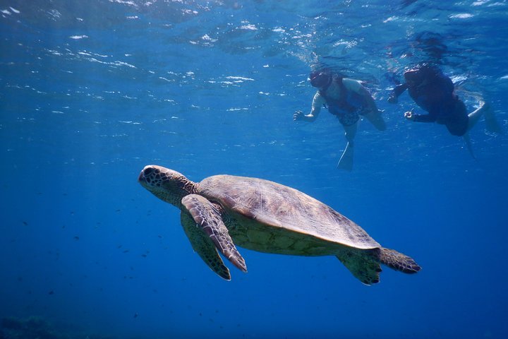 Tour di 1 giorno in kayak nelle Isole Kerama e Zamami Island
