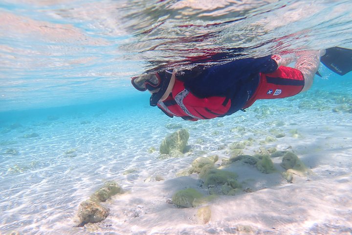 Tour di 1 giorno in kayak nelle Isole Kerama e Zamami Island