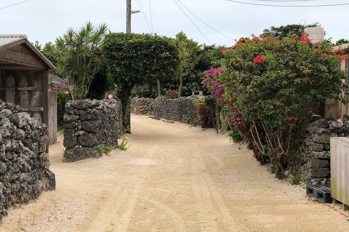 Excursão a pé pela ilha de Taketomi com guia da ilha