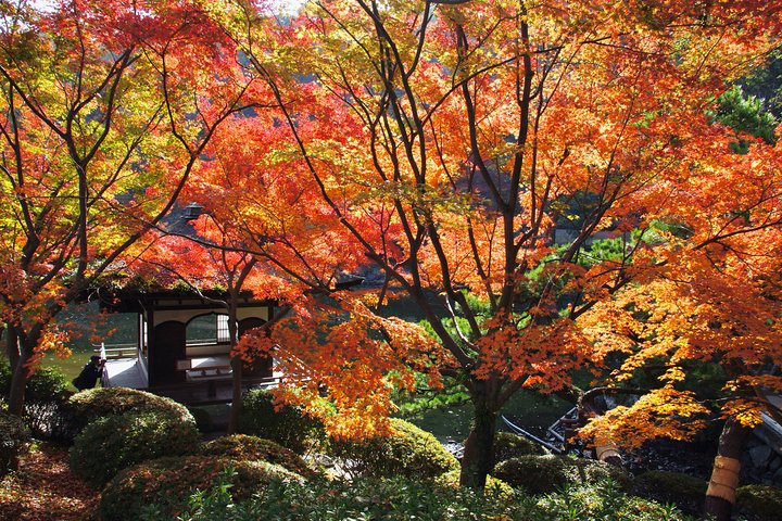 Det bedste ved Wakayama City Private Tour