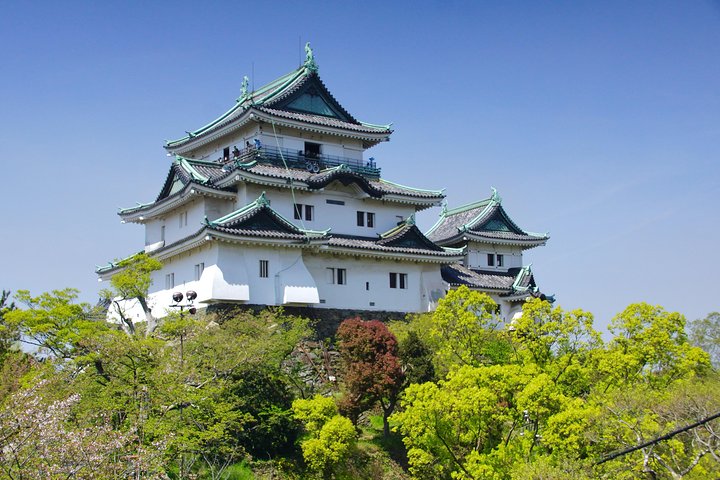 Det bedste ved Wakayama City Private Tour