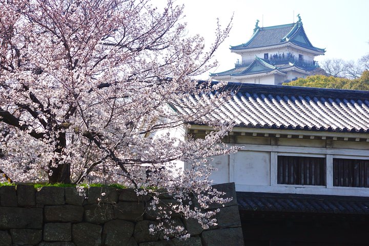 Det bedste ved Wakayama City Private Tour