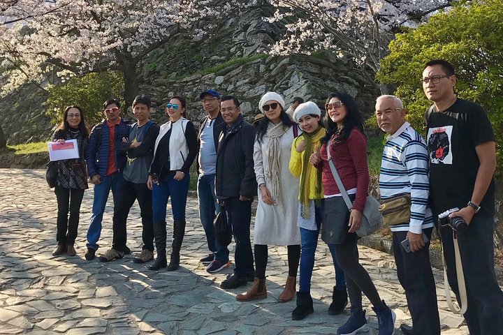 Det bedste ved Wakayama City Private Tour