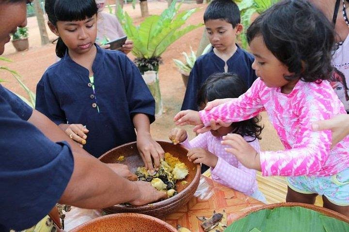 Koh Samui : Elephant Nature Care, il più grande santuario degli elefanti