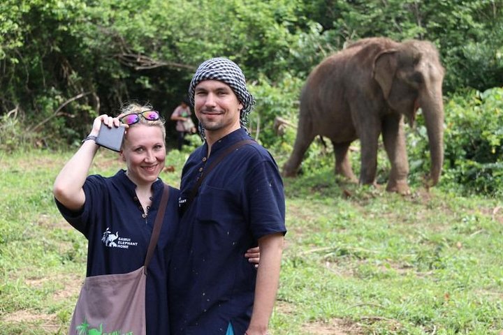 Koh Samui : Elephant Nature Care, il più grande santuario degli elefanti