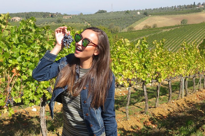 Visite des vins de Toscane : 2 vignobles et Chianti au départ de San Gimignano