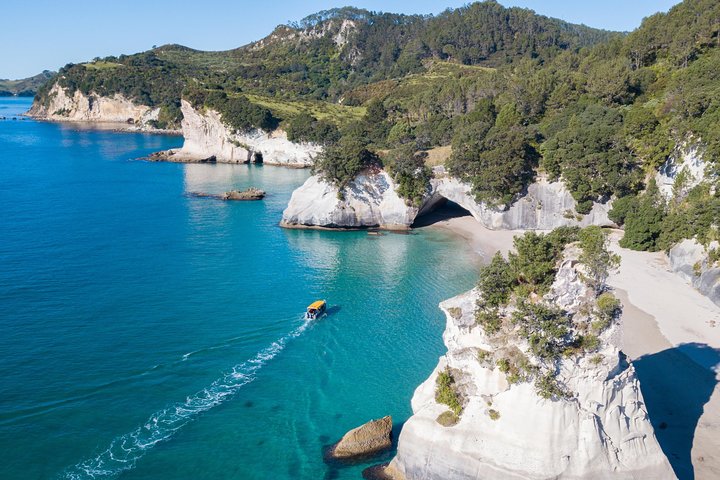 Glasbundbåd Whitianga Cathedral Cove Cruise