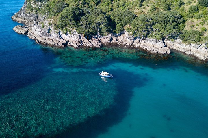Glasbundbåd Whitianga Cathedral Cove Cruise