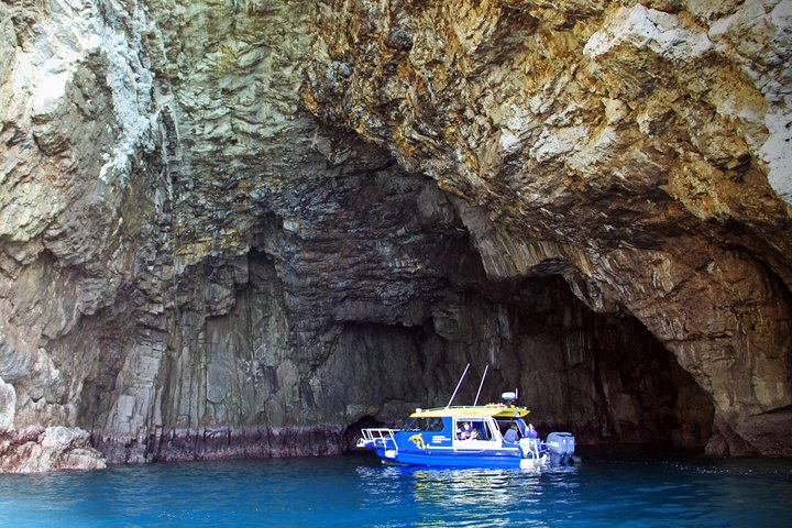 Glasbundbåd Whitianga Cathedral Cove Cruise