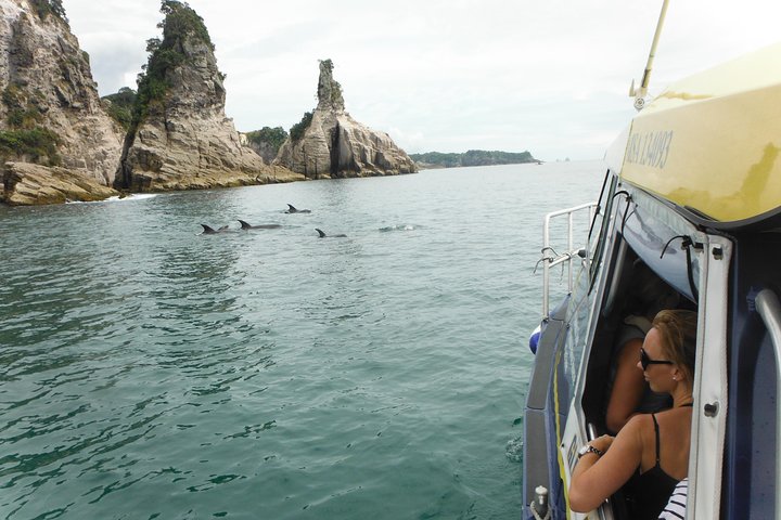 Glasbundbåd Whitianga Cathedral Cove Cruise