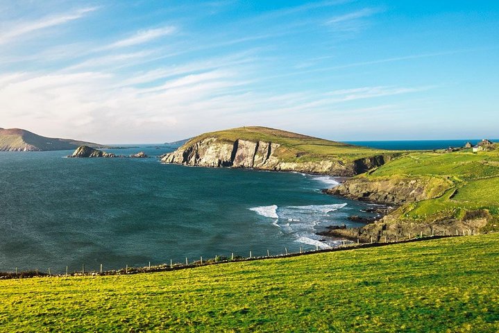 Dingle Peninsula Day Tour från Cork: inklusive The Wild Altanic Way