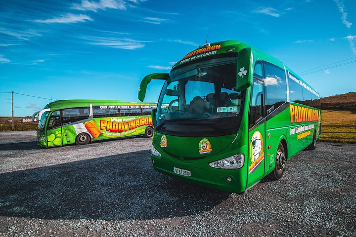 Tour di un giorno delle scogliere di Moher da Limerick: Wild Atlantic Way