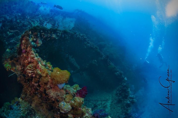 Bucea en el naufragio de S.S. Yongala en la Gran Barrera de Coral.