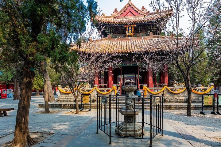 Qufu Private Walking Tour naar Confucius Temple, Kong Mansion en Forest
