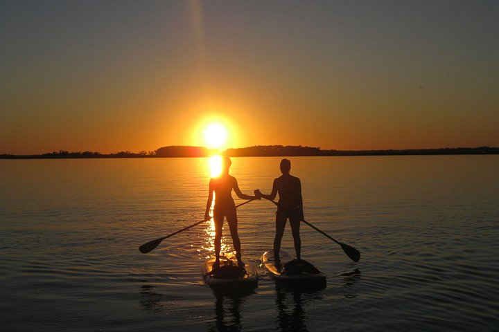 Charleston Stand Up Paddleboard Öko-Tour