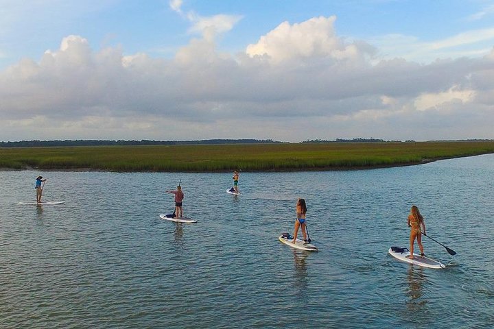 Charleston Stand Up Paddleboard Öko-Tour