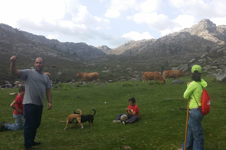 Gerês Natura, cascate, pranzo gustoso!Piccolo gruppo, offerta Bottiglia di vino