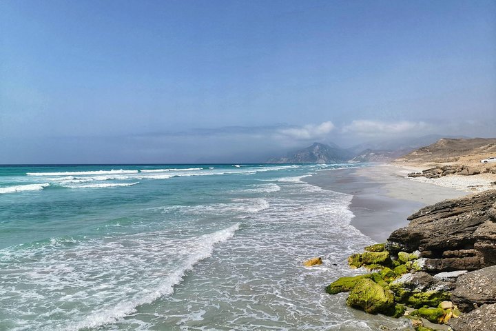 West Salalah, Al Mughsail Beach, White Beach, Frankincense Tree (tour van een halve dag)