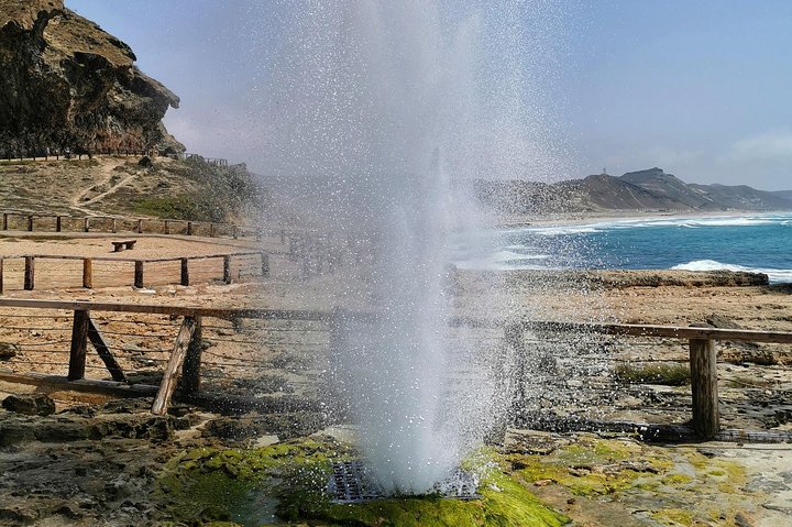 West Salalah, Al Mughsail Beach, White Beach, Frankincense Tree (tour van een halve dag)