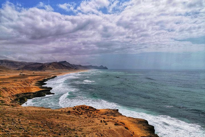 West Salalah, Al Mughsail Beach, White Beach, Frankincense Tree (tour van een halve dag)