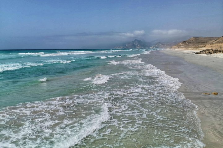 West Salalah, Al Mughsail Beach, White Beach, Frankincense Tree (tour van een halve dag)