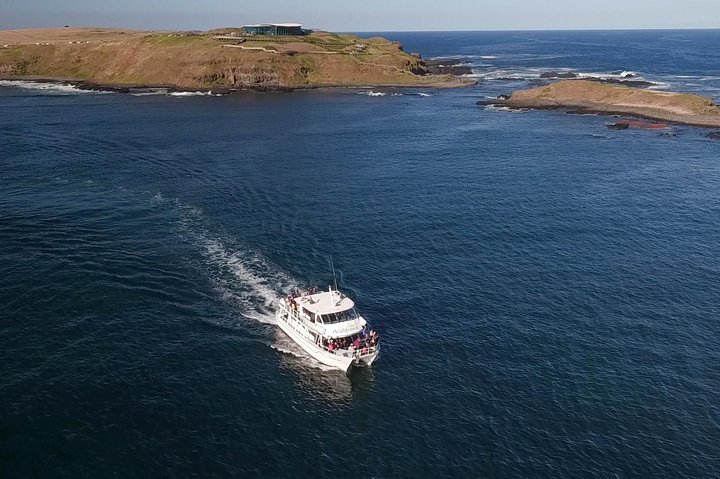 Phillip Island Seal-Watching Cruise