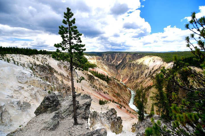 Visite privée de Yellowstone : sites emblématiques, faune, randonnées familiales + déjeuner