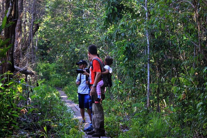 2Ns Orang-Utan Kelotok Tour in Tanjung Putting Kalimantan - Borneo