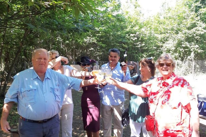 Privérondleiding van 6 uur langs drie Etna-wijnhuizen met eten en wijnproeverij