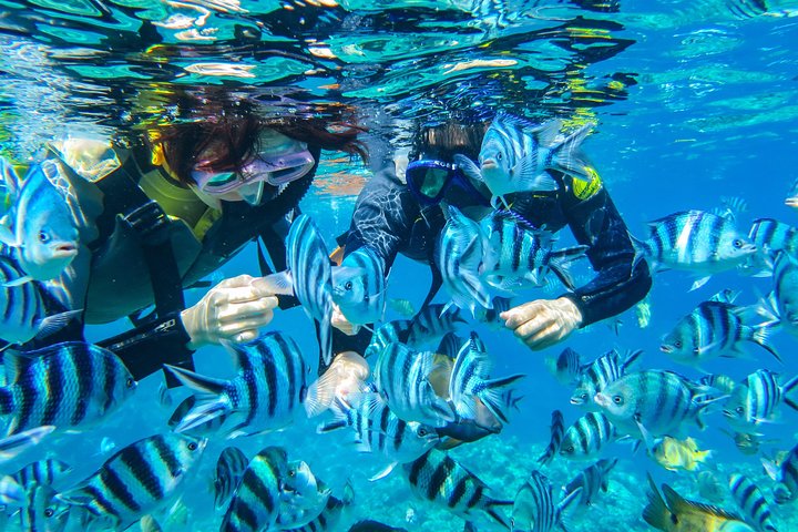 [Caverna Azul de Okinawa] Mergulho com snorkel (passeio de barco, aluguel de guia) Muito satisfeito com as amplas instalações da bela loja (serviços de fotografia e vídeo incluídos)
