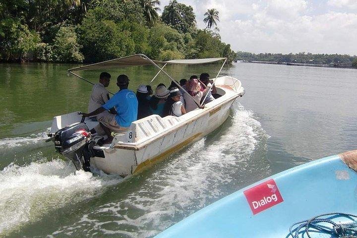 Madu River Boat Safari Balapitiya