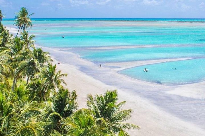 Aeropuerto de Recife x Maragogi: traslado privado por Romulo Turismo