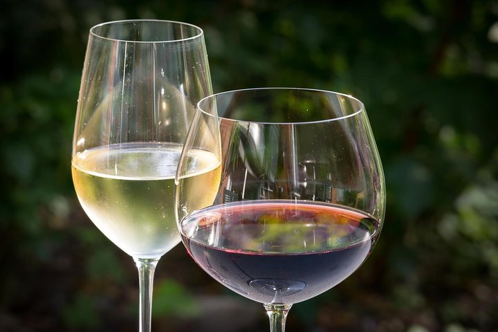 Viagem de um dia: Degustação de vinhos em Ribera del Duero saindo de Madri (de trem de alta velocidade)