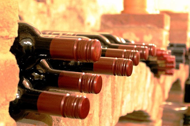 Viagem de um dia: Degustação de vinhos em Ribera del Duero saindo de Madri (de trem de alta velocidade)