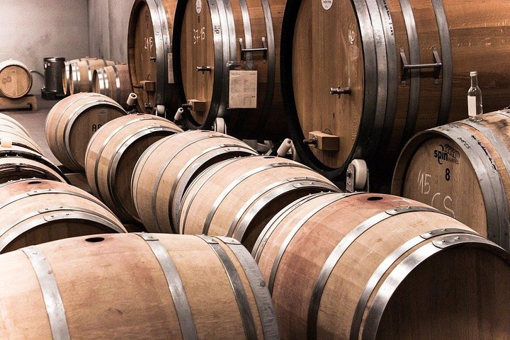 Viagem de um dia: Degustação de vinhos em Ribera del Duero saindo de Madri (de trem de alta velocidade)