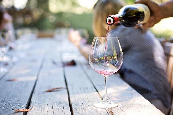 Viagem de um dia: Degustação de vinhos em Ribera del Duero saindo de Madri (de trem de alta velocidade)