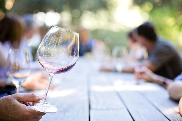 Viagem de um dia: Degustação de vinhos em Ribera del Duero saindo de Madri (de trem de alta velocidade)