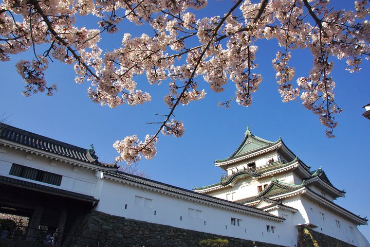 Excursão a pé pela cidade do castelo de Wakayama