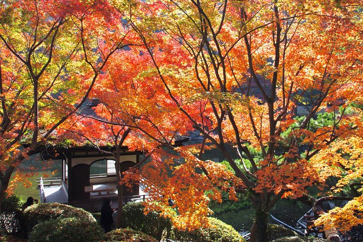 Excursão a pé pela cidade do castelo de Wakayama