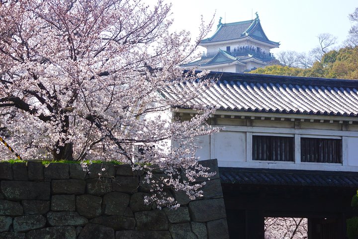 Excursão a pé pela cidade do castelo de Wakayama