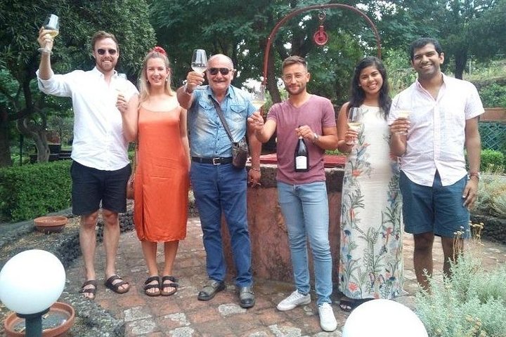 Privérondleiding van 6 uur langs drie Etna-wijnhuizen met eten en wijnproeverij