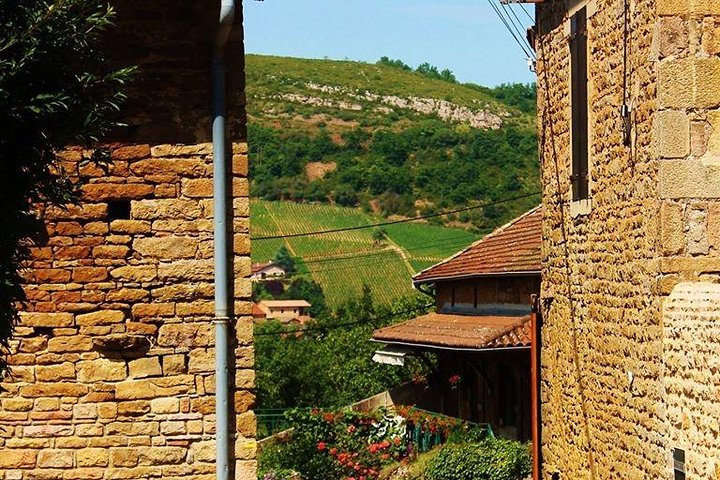 Beaujolais vin tur fra Lyon en halv dag